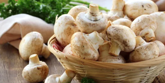 Les 5 principaux bienfaits des champignons pour la santé