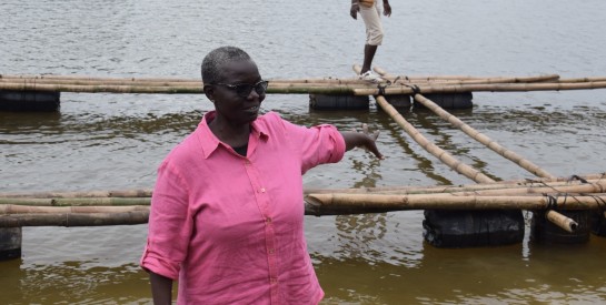 De l'industrie pharmaceutique à la piscicultrice : le chemin inspirant de Manizan Béatrice en Côte d'Ivoire