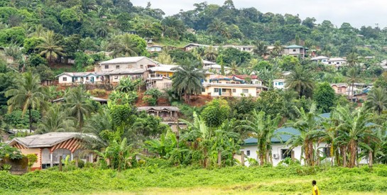 Au coeur du Cameroun pour une visite touristique