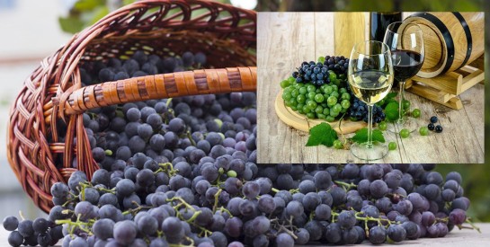 Anti-âge : cet antioxydant puissant présent dans le vin rouge combat les rides et agit sur la fermeté