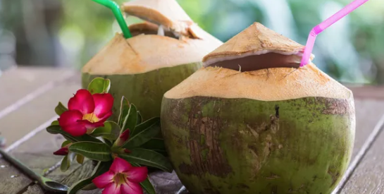 Le jus de coco : une boisson délicieuse aux bienfaits nutritionnels surprenants