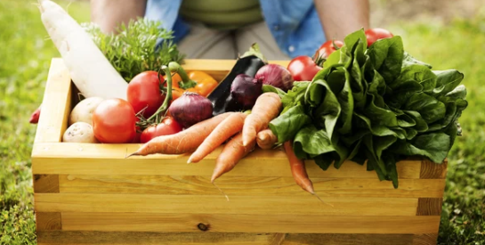 Digestion : faut-il arrêter de manger des légumes crus ?