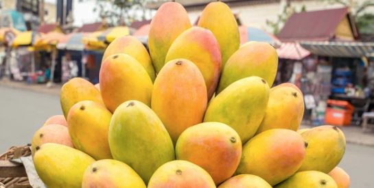 Découvrez les 4 qualités nutritionnelles de la mangue pour votre santé