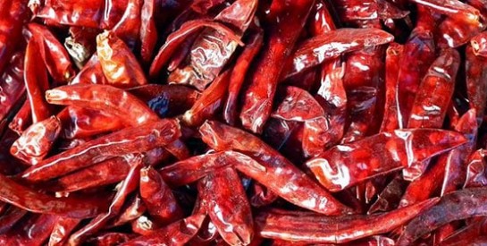 Le piment : la nouvelle clé pour lutter contre l'obésité ?