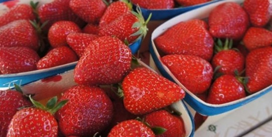 La consommation de jus de fraise permettrait de lutter contre l’inflammation