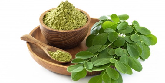 Le Moringa : Plus qu’une plante tendance, un concentré de bienfaits à découvrir