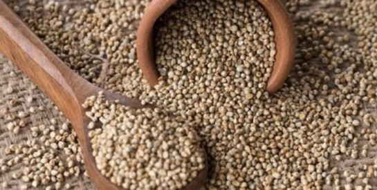 Le mil, une céréale nutritive aux mille vertus pour le corps et l’assiette
