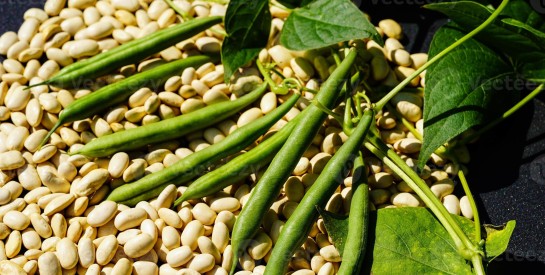 Alimentation des enfants : les feuilles d’haricots, un super-aliment économique à introduire dès le bas âge