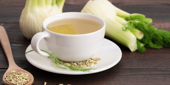 Le fenouil : un allié naturel pour le confort digestif