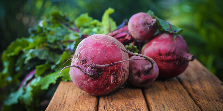 Mieux que les compléments : la betterave, un fortifiant naturel du sang