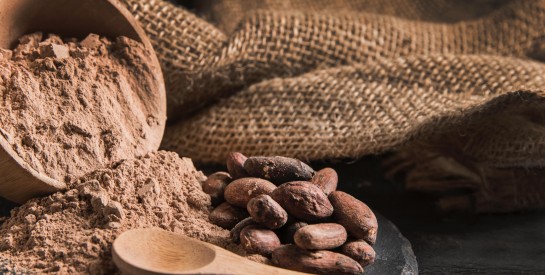 Bienfaits de la poudre de cacao : du plaisir au boost naturel de magnésium