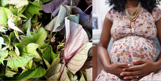 alimentation pendant la grossesse : les aliments à privilégier et ceux à éviter en Afrique