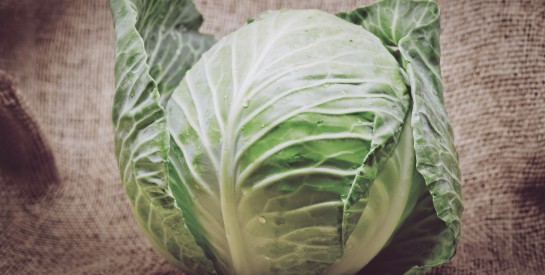 Chou vert : le super-aliment naturel qui protège et régénère le foie