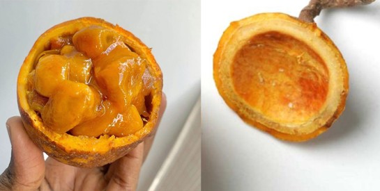 Le fruit zaban : un trésor naturel aux multiples bienfaits