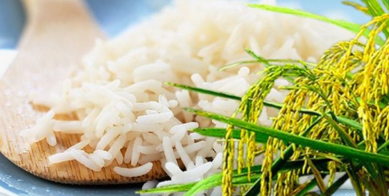 Riz local : pourquoi il mérite une place de choix dans nos assiettes