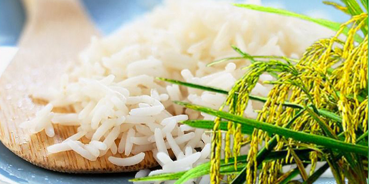 Riz local : pourquoi il mérite une place de choix dans nos assiettes