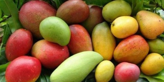 Les bienfaits de la mangue sur votre peau!