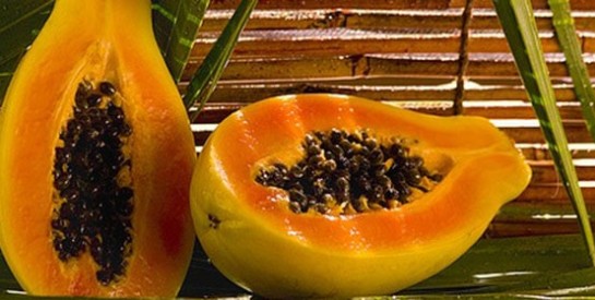 Les bienfaits santé de la graine de papaye