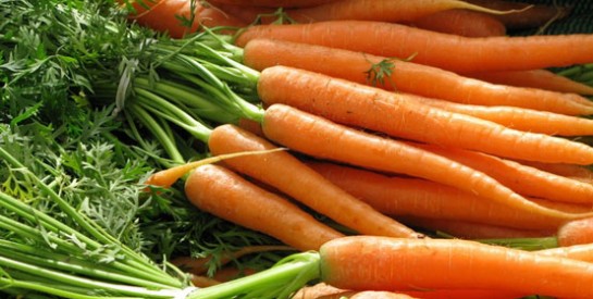 Combattre les rides du visage avec la carotte