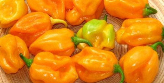 Comment stopper la brûlure du piment ?