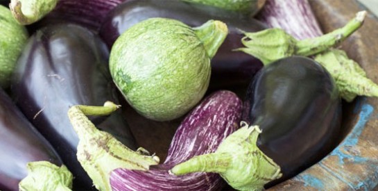Riche en nutriments, l’aubergine est un allié santé pour notre organisme