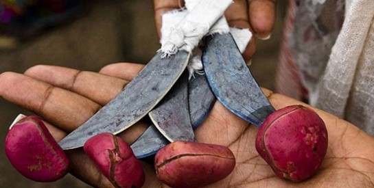 Mutilations génitales féminines : 31 filles excisées à Saatenga