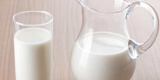 Pourquoi le lait de chèvre est-il meilleur pour la santé?