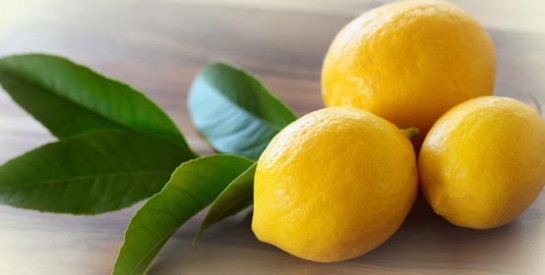 Les bienfaits du citron