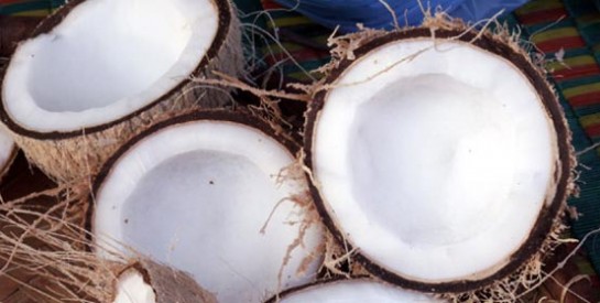 Les bienfaits de l'eau de coco