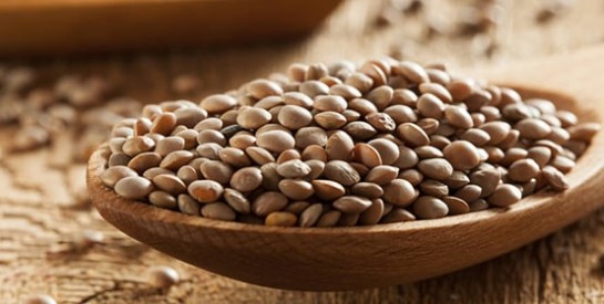 Les lentilles : un aliment minceur par excellence