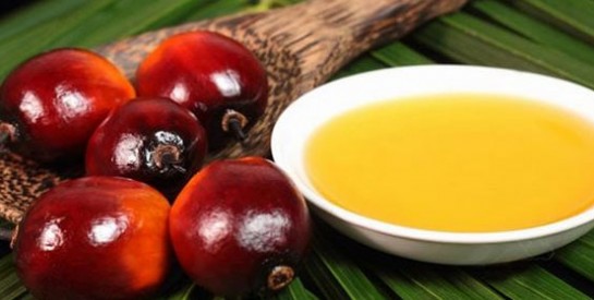 Pourquoi tant de polémique autour de l`huile de palme
