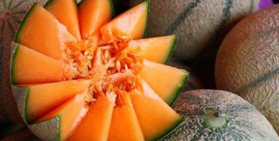 Le melon, c'est bon pour la santé !