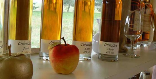 Perdre 1kg par semaine avec le vinaigre de cidre de pomme