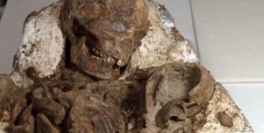 Le fossile d’une femme et de son bébé découvert à Taïwan