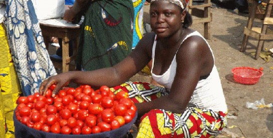 Le Nigeria face à « l`apocalypse de la tomate »