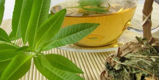 Les bienfaits de la tisane de verveine