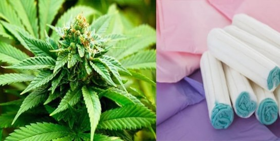 Des tampons au cannabis pour soulager les crampes menstruelles
