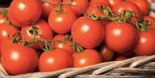 Tomates, avocat, ail : ces aliments qui ne doivent pas se conserver au réfrigérateur
