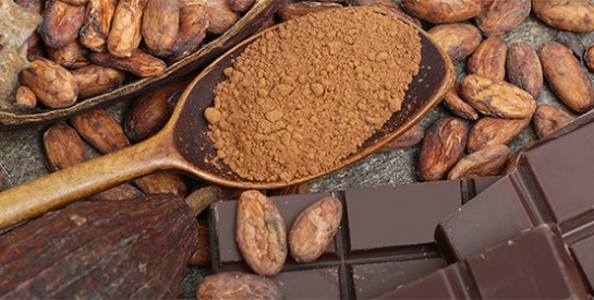 Le cacao, une fève gorgée de bienfaits