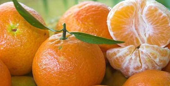 La mandarine : un petit miracle végétal