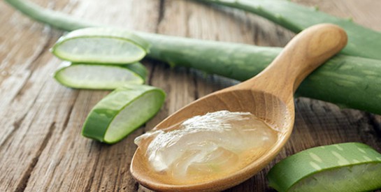 L`aloe vera : les vertus de cette plante médicinale