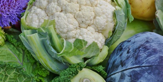 Alimentation anticancer : consacrer une place de choix aux végétaux