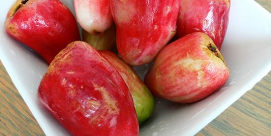 La pomme d`eau, un fruit méconnu aux immenses vertus