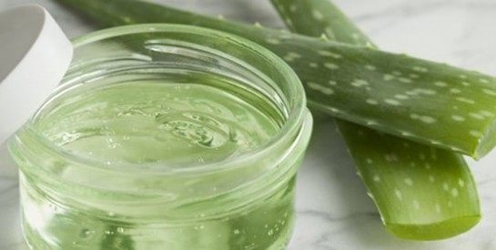 Comment utiliser l`aloe vera dans votre routine capillaire ?