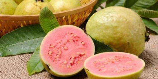 La goyave : un fruit riche en vitamine C et en potassium