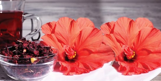 Tisane d`Hibiscus, efficace pour perdre du poids